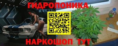 прущие крисы Беслан