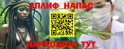 гашик Берёзовский