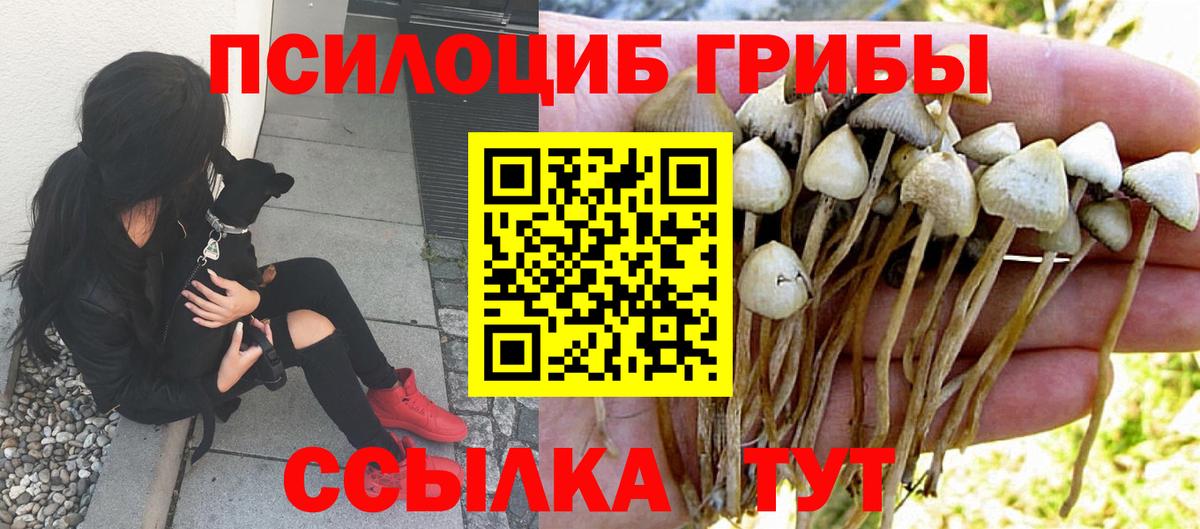 Галлюциногенные грибы мухоморы Избербаш