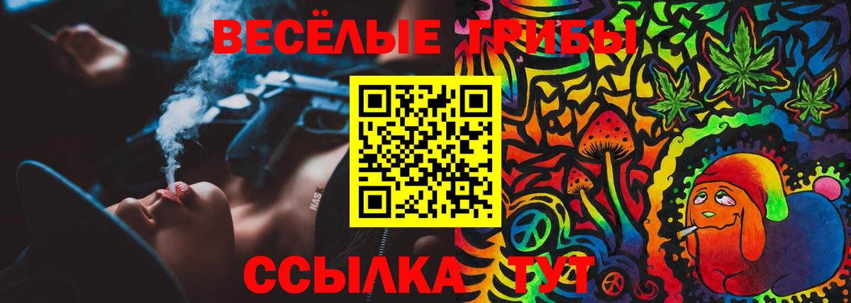 Псилоцибиновые грибы мицелий  купить наркоту  Избербаш  Вход с VPN 